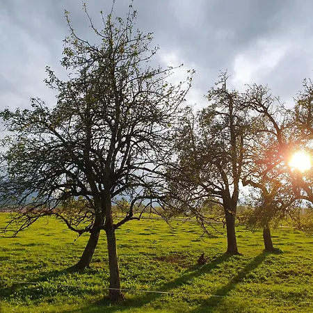 Bergeblick An Der Ludlmuehle 아파트 *